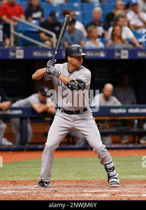 ST. PETERSBURG, FL - SEPTEMBER 27: New York Yankees catcher Kyle Higashioka (66) at bat during the regular season MLB game between the New York Yankees and Tampa Bay Rays on September 27, 2018 at Tropicana Field in St. Petersburg, FL. (Photo by Mark LoMoglio/Icon Sportswire) (Icon Sportswire via AP Images)