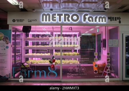 Metro Farm organic vegetable growing facility in underground subway station Stock Photo