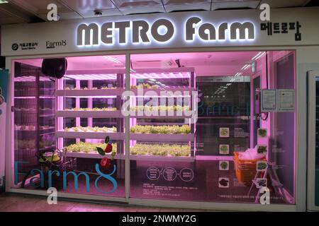 Metro Farm organic vegetable growing facility in underground subway station Stock Photo