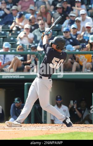 ST. PETERSBURG, FL - FEBRUARY 28: Tampa Bay Rays Infielder Curtis Mead (25)  at bat during the MLB Spring Training game between the New York Yankees and  the Tampa Bay Rays on