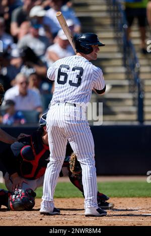 New York Yankees' Billy McKinney celebrates after hitting a solo home ...