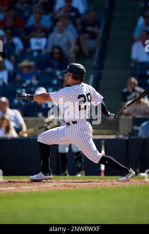 Atlanta Braves Kevin Pillar (17) bats during a spring training baseball  game against the New York Yankees on February 26, 2023 at George M.  Steinbrenner Field in Tampa, Florida. (Mike Janes/Four Seam