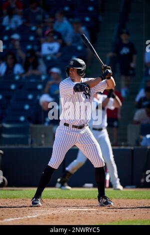 Atlanta Braves Kevin Pillar (17) bats during a spring training baseball  game against the New York Yankees on February 26, 2023 at George M.  Steinbrenner Field in Tampa, Florida. (Mike Janes/Four Seam