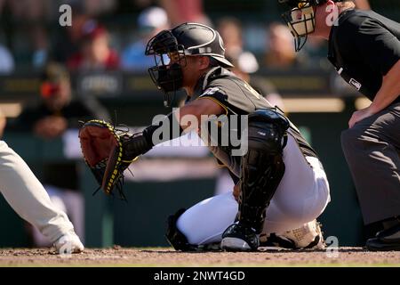 Pittsburgh Pirates Endy Rodriguez (25) bats during a spring training  baseball game against the Philadelphia Phillies on February 27, 2023 at  LECOM Park in Bradenton, Florida. (Mike Janes/Four Seam Images via AP