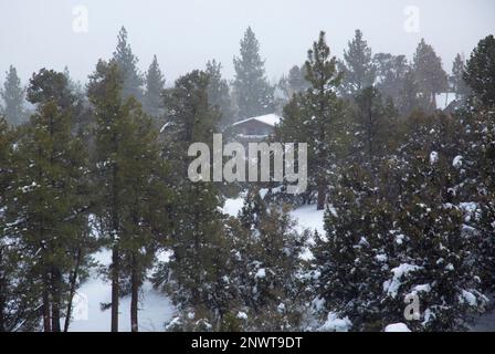 Big Bear City, California, USA. 2nd Mar, 2023. After the biggest snow ...