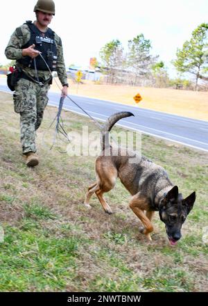 NAS PATUXENT RIVER, Maryland (Feb. 8, 2023) - Master-at Arms 3rd Class Colton Farmer and Military Working Dog (MWD) Georgina perform a perimeter sweep during a suspicious package drill during the Citadel Shield/Solid Curtain (CS/SC) Exercise 2023.     MWDs and their handlers are an integral part of Naval Security Forces, providing unique capabilities to defend bases by detecting dangerous materials. Like other highly specialized pieces of equipment, MWDs supplement and enhance the capabilities of military security forces. When integrated into existing military security forces, MWD teams enable Stock Photo