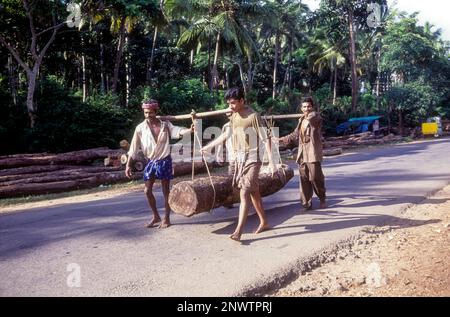 Log of wood being transported for sawing at Feroke near Kozhikode, Kerala, India, Asia Stock Photo