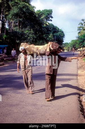 Log of wood being transported for sawing at feroke near Kozhikode, Kerala Stock Photo