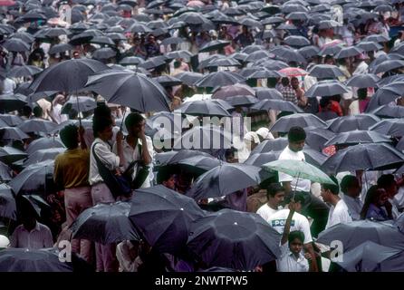 Crowd with umbrellas in raining during Pooram festival in Thrissur or Trichur, Kerala, India, Asia Stock Photo