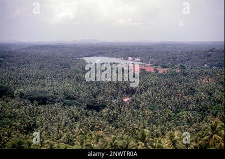 Coconut trees around Mahi in Puducherry or Pondicherry (union territory) . A Scene from Ezhimala hill, Kerala, India, Asia Stock Photo