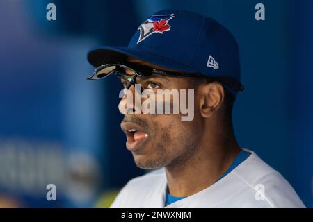 Curtis Granderson brings plenty of knowledge to Blue Jays outfield