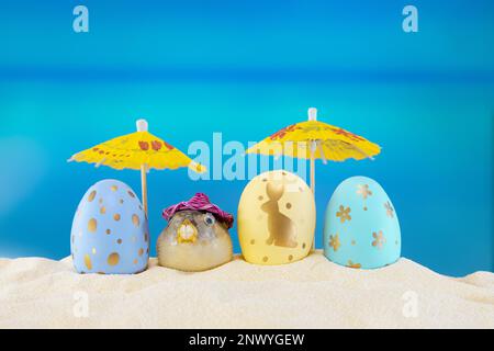 Happy easter. Yellow and blue eggs with puffer fish under umbrellas on sandy beach of sea or ocean. Holiday postcard in hot country. Travel, spring, s Stock Photo