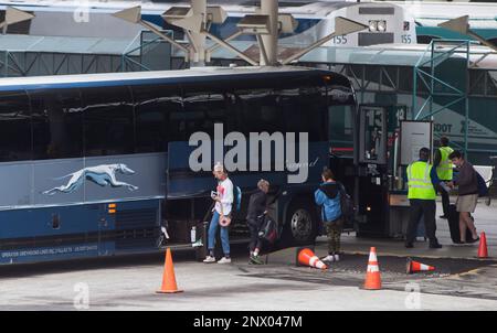 Passengers place their luggage on a Greyhound bus before departing from Vancouver on Monday July 9 2018. Greyhound Canada says it is ending its passenger bus and freight services in Alberta Saskatchew...