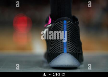 jordan 29a