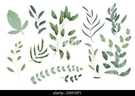 Set of watercolor green leaves elements. Collection botanical vector isolated on white background suitable for Wedding Invitation, save the date, than Stock Vector