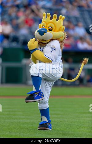 Kansas City Royals mascot Sluggerrr dons his Johnny Cueto wig for Game 2 of  the World Series on Wednesday, Oct. 28, 2015, at Kauffman Stadium in Kansas  City, Mo. (Photo by Joe