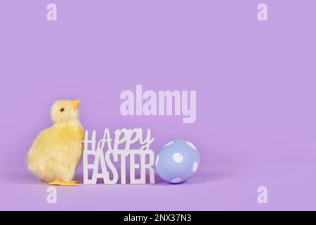 Decorative Easter chick, painted egg and text 'Happy Easter' in corner of violet background with copy space Stock Photo