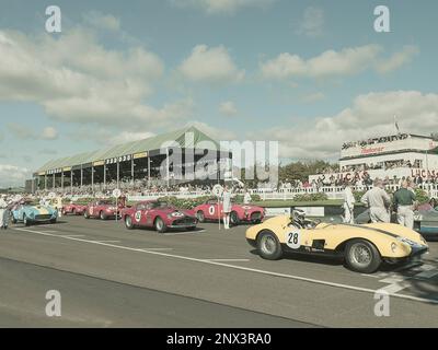 Goodwood Revival 2015. Ferrari in the Levant Cup starting line Stock Photo