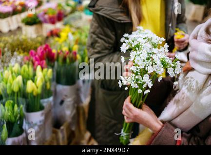 Florist make gift bouquets in hat boxes. Graceful female hands make a  beautiful bouquet. Florist workplace. Small business concept. Front view.  Flowers and accessories - a Royalty Free Stock Photo from Photocase