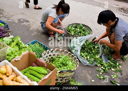 China.Shanghai: Market in Wufu Halley Stock Photo