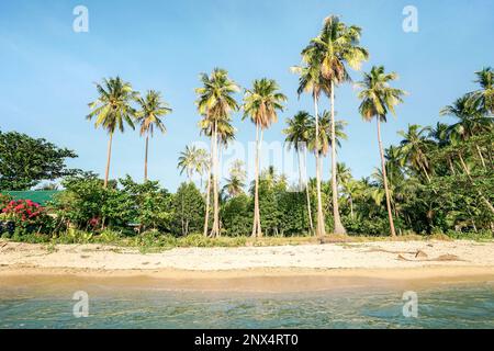 Beach palms from the sea at ' Las Cabanas ' seaside in El Nido Palawan in Philippines - Wide angle view of exclusive destination place with white sand Stock Photo