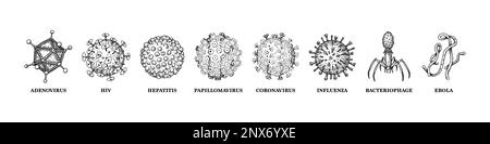 Viruses with names isolated on white background. Different types of microscopic microorganisms. Vector illustration in sketch style Stock Vector
