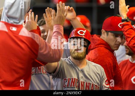 MILWAUKEE, WI - AUGUST 25: Cincinnati Reds starting pitcher Luis Castillo  (58) gets a new ball during a game between the Milwaukee Brewers and the  Cincinnati Reds at American Family Field on