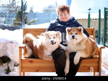 Russian sales akita dog