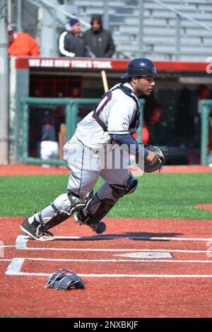 University of Connecticut Huskies catcher Thad Phillips (30) during ...