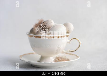 Close-up of assorted eggs and quail feathers in a vintage tea cup Stock Photo