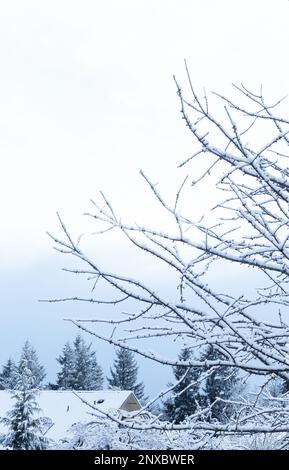 The roof of a snow covered house and branches from a tree against a winter sky. Stock Photo