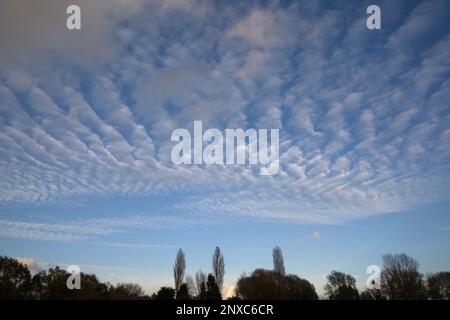 Low altocumulus or high stratocumulus clouds above a field in Norfolk, East Anglia, England, UK Stock Photo