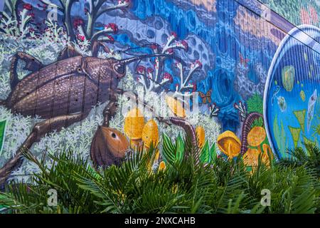 Painted wall mural by Shaun Thurston at MOSH (Museum of Science & History) in downtown Jacksonville, Florida. (USA) Stock Photo