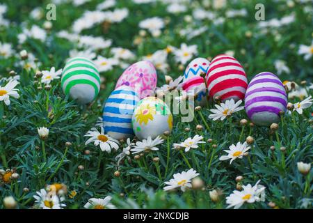 Colorful Easter eggs arranged on a meadow of daisies during the springtime. A beautiful and festive celebration of Easter and the new season Stock Photo
