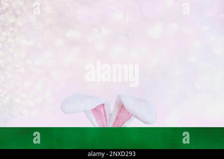 Easter rabbit with cute bunny ears over a pastel pink bokeh sky behind a green background with room for copy space. Stock Photo