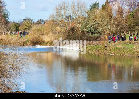 Crowds watching the 4 star Severn Bore on 23/2/2023 break against the bank of the River Severn at Minsterworth, Gloucestershire, England UK Stock Photo