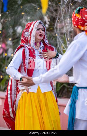 Female Kalbelia Dancer Traditional Tribal Dress Stock Photo 67618030 |  Shutterstock
