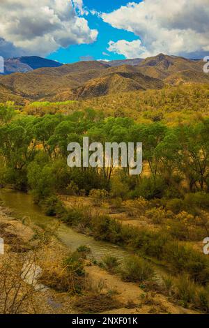 cloudy landscape with trees Alamo de rio or Sicomoro a valley between ...