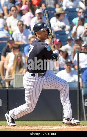 TAMPA, FL - MARCH 16: New York Yankees DH Giancarlo Stanton (27) at bat  during the Yankees spring training workout on March 16, 2022, at  Steinbrenner Field in Tampa, FL. (Photo by