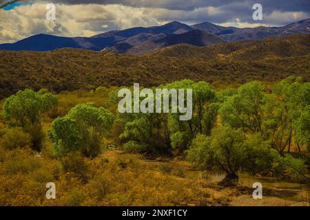 cloudy landscape with trees Alamo de rio or Sicomoro a valley between ...