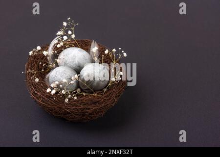 Brown nest of twigs with three gray Easter eggs, feathers and sprigs of gypsophila on black background. Minimalistic Easter concept Stock Photo