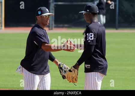 TAMPA, FL - MAR 01: Didi Gregorius (18) looks on after he flips the baseball  to Russell Wilson (73) who completes the throw over to first base to  complete the double play