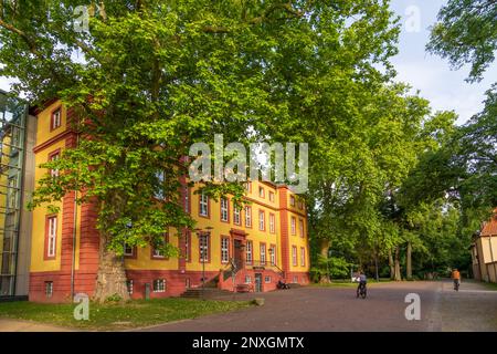 Schlitz (Vogelsbergkreis): Schloss Hallenburg Castle,  today Landesmusikakademie Hessen (Hessian State Music Academy) in Vogelsberg, Hessen, Hesse, Ge Stock Photo