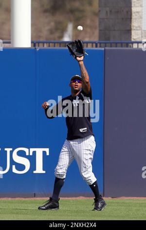 Aaron Judge live BP at NY Yankees spring training @Steinbrenner Field Tampa  FL 1BB, 1 grounder, 1k 