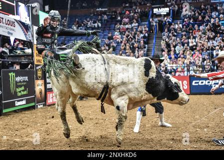 Professional bull rider Derek Kolbaba is thrown off ”Harold's Genuine Risk”  during round one of the “PBR Unleash The Beast Monster Energy Buckoff” at  Madison Square Garden in New York, NY, January