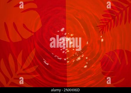 jungle leaves on the red-orange background, underwater design, summer art Stock Photo