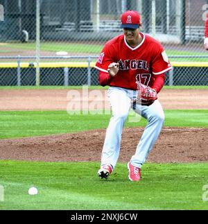 Shohei Ohtani attends a workout of the Los Angeles Angels' spring