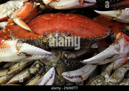 Crab, Charleston, Oregon Stock Photo - Alamy