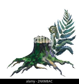 Picture of an old stump, tree cut trunk with green moss and fern, hand painted in watercolor on a white background Stock Photo