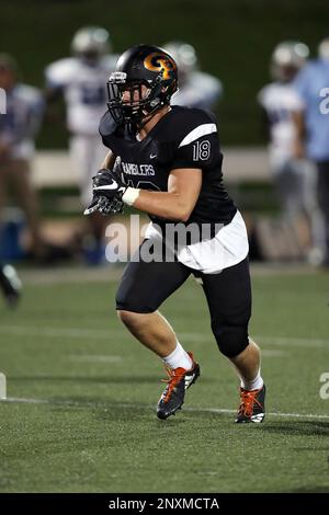 Erie Cathedral Prep Ramblers linebacker Jeffrey Bone (7) chases the action  during the 2017 high school football game against the against the Cleveland  Benedictine Bengals, Friday, Sept. 15, 2017 in Erie, Pa.